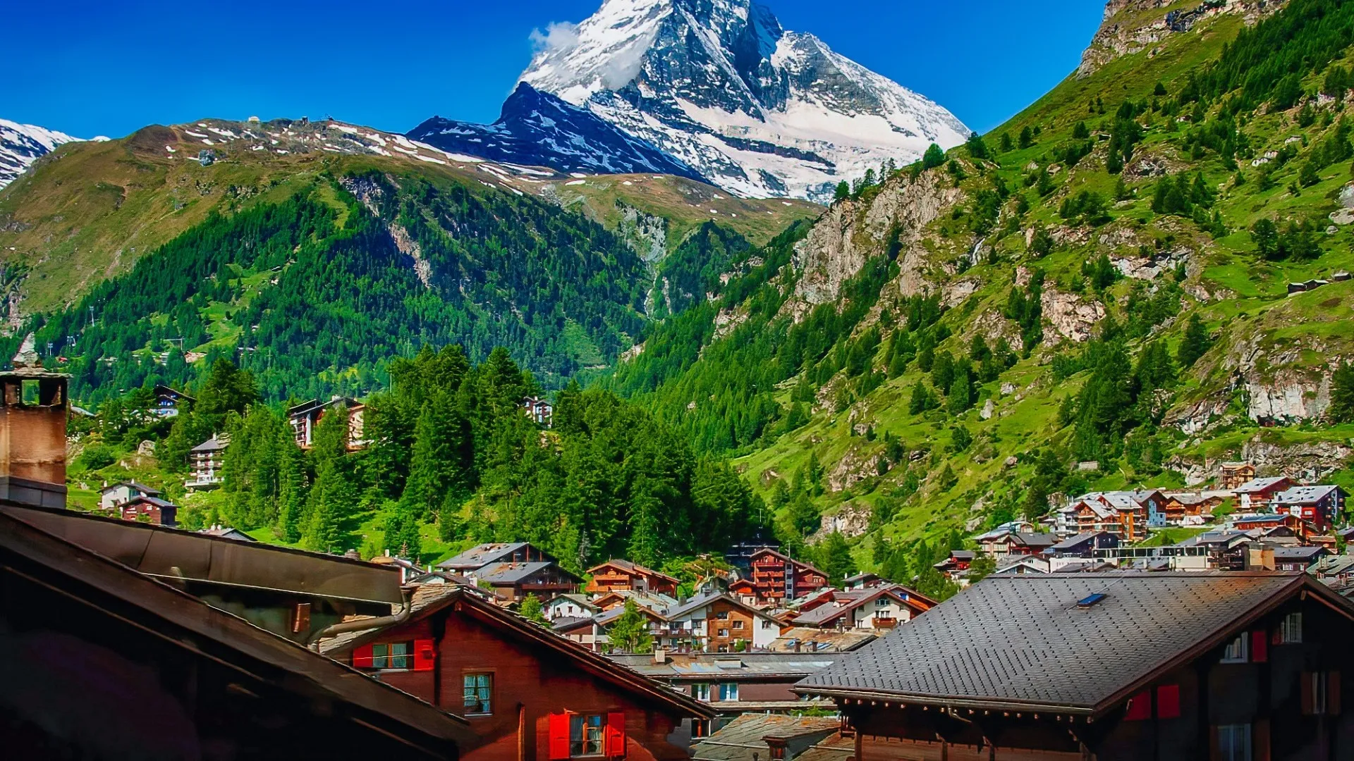 「スイスまで送れますか？」──ある作品の旅路と、私たちの挑戦